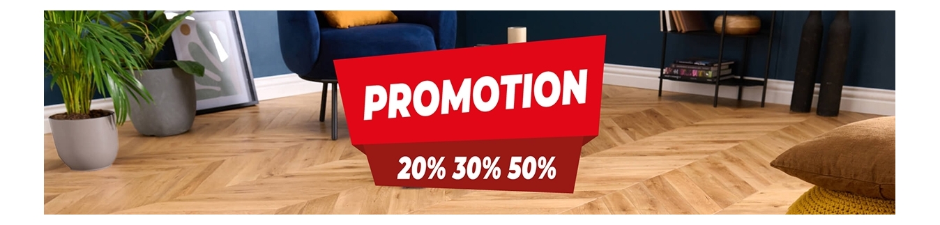 PROMOTION